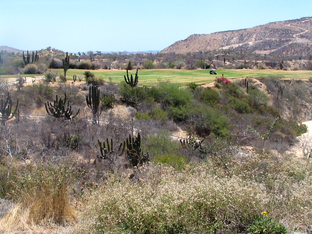 Palmilla Golf Club - Mountain No. 5 Fairway