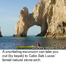 Snorkeling in Cabo San Lucas, Mexico - Near Stone Arch