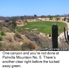 Palmilla Mountain No. 5