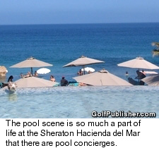 Sheraton Hacienda del Mar Resort & Spa - Pool Scene