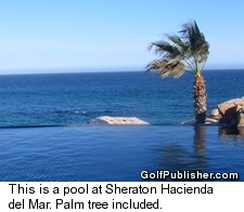 Sheraton Hacienda del Mar Resort & Spa - Pool